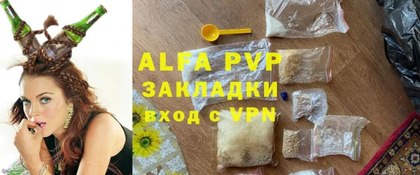 стафф Алексин