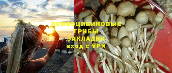 стафф Алексин