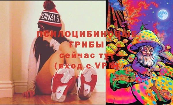 мяу мяу мука Алзамай
